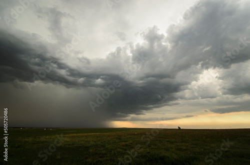 Storm chasing