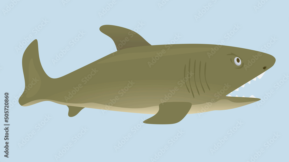 Fototapeta premium Big grey fish. vector illustration