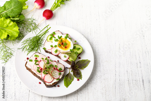 Healthy sandwiches with radish, cucumber, egg, curd cheese, sprinkled with green onions and pink pepper. Copy space