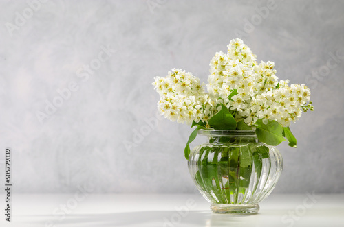 Bouquet of bird cherry in a glass vase on a light background. Copy space