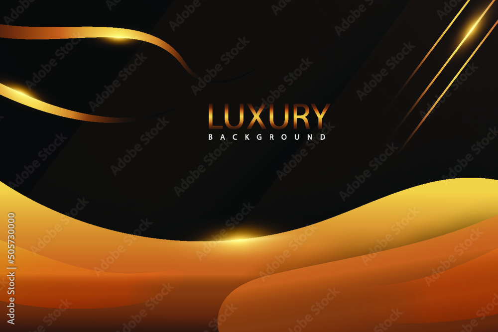 Luxury premium cover page design for flyer book Vector Image