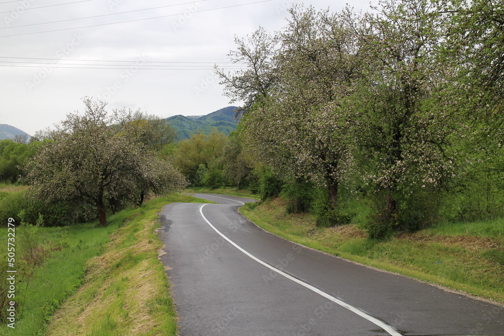 Blooming trees on road from Sucany to Turcianska Staivnicka, central Slovakia