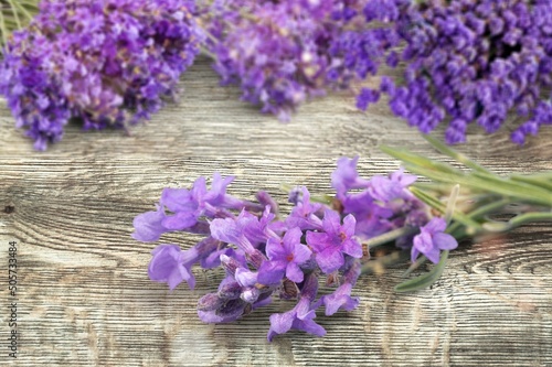 Beautiful fresh aroma Lavender flowers