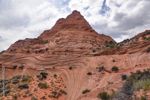 View of Coyote Buttes South in Vermilion Cliffs National Monument  Arizona  USA