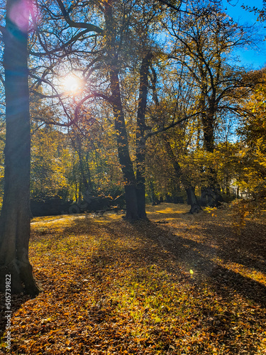 Zdjęcie wykonane jesienna porą podczas spaceru w parku Roth w Raciborzu