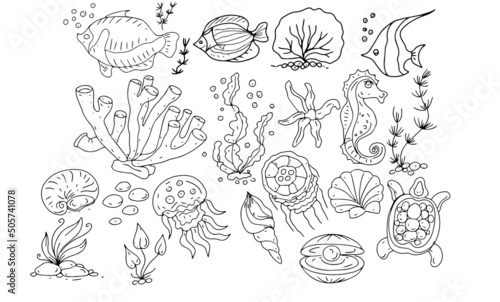  sea ​​fish ocean travel cruise shells coloring book for kids doodle sketch hand drawn big set separately on white background elements