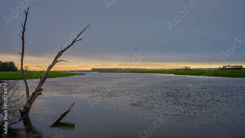 фотографія Beautiful marshlands and a wide creek on a cloudy and drizzly evening near Cape