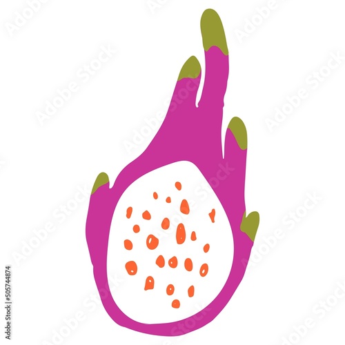 dragon fruit cut open hand drawn illustration in organic style © stournsaeh