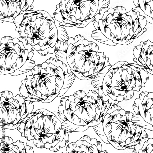 Hand drawn line black pattern peony flower, isolated on white. Vector line art elegant floral seamless composition in vintage style, t-shirt, tattoo design, coloring page, wedding decoration.
