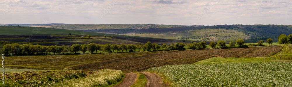 Dirt road between the fields on a country. valley countryside road between green meadows. Rural spring, landscape. morning, sunny day  light suitable for backgrounds or wallpapers. Căușeni, Moldova