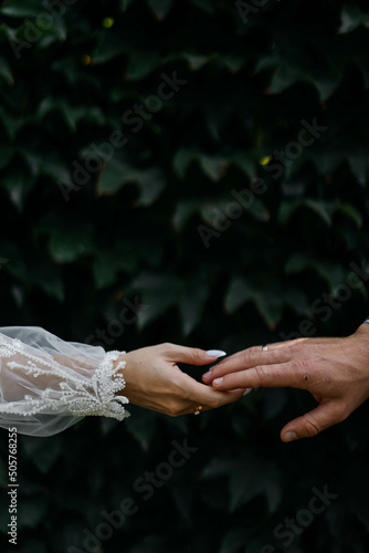 Fotografering bride and groom holding hands