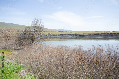 Banks of the Columbia River in the Eastern Columbia River Gorge in Early Spring near The Dalles