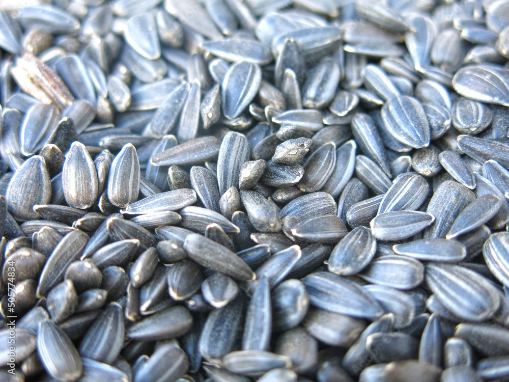 background of black sunflower seeds in close-up background of black sunflower seeds in close-up