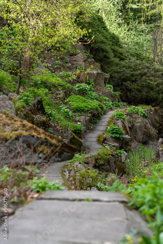 Decorative garden with pathway from stone back yard grass with stony natural landscaping. Curving concrete pathway with surrounding moss covered rocks. Winding walkway in green stony garden.