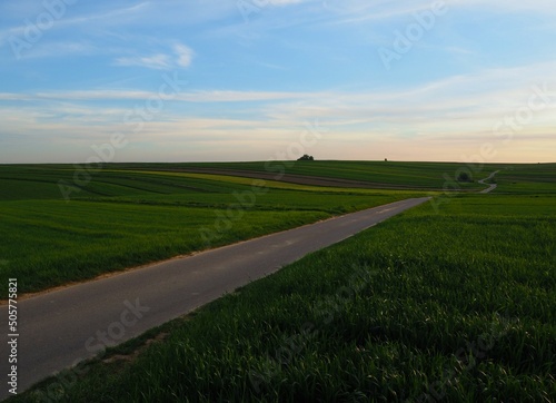 Droga wśród pól z młodym, zielonym zbożem przed zachodem słońca, wiosna w Polsce, wiejski krajobraz / A road among fields with young, green grains, before sunset, spring in Poland, rural landscape
