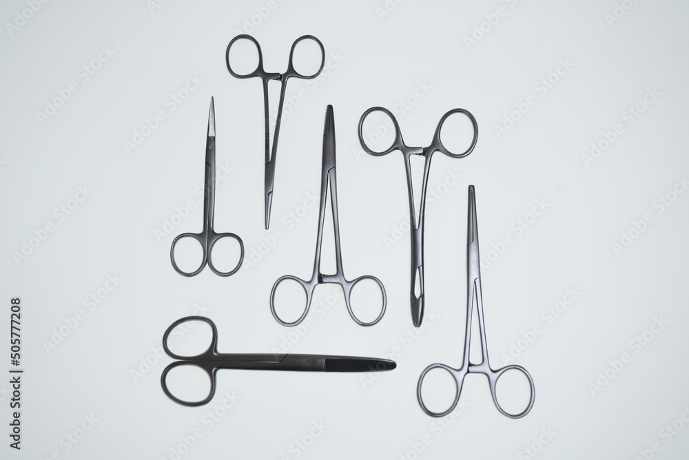 Sécateurs Metzen Fins Ciseaux Chirurgie 30 Cm - Marque Saleem Germany - Neuf
