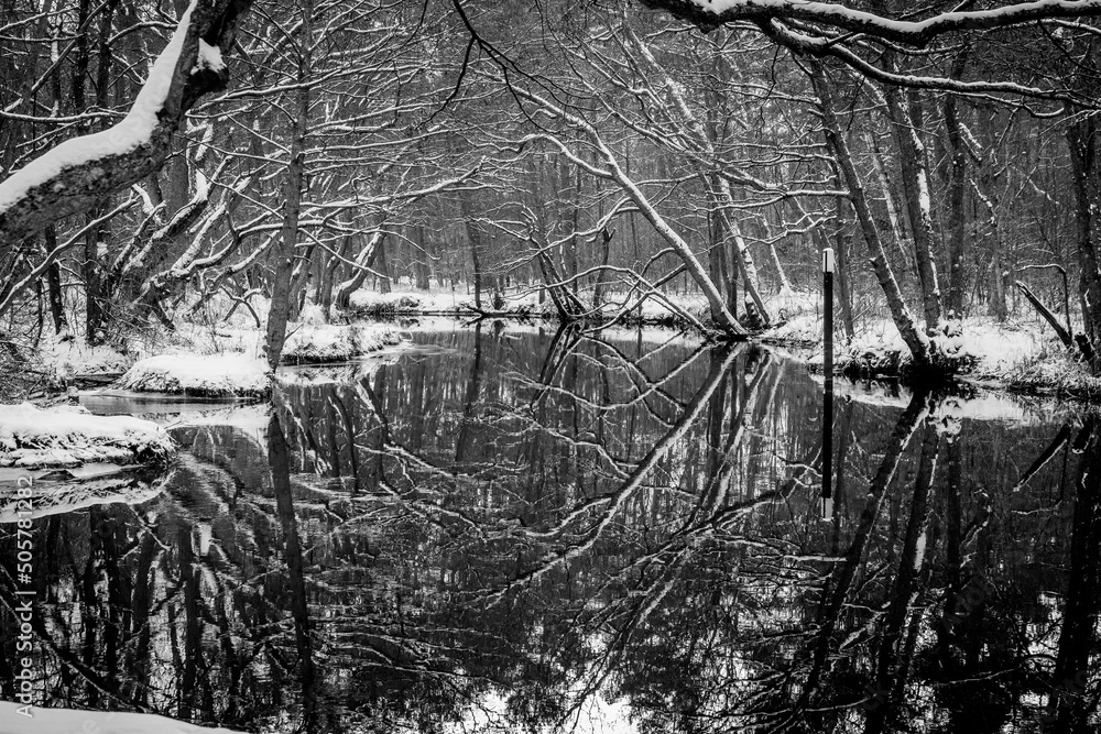 Winter Mirror at Piasnica River