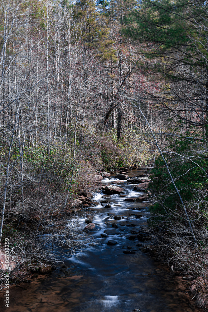 stream in the forest stream in the forest