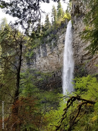 waterfall in the forest