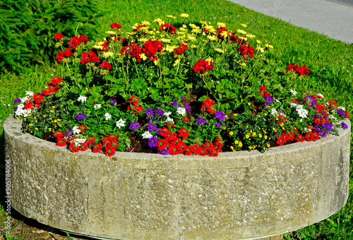 kolorowe kwiaty w dużej, orągłej, kamiennej donicy, czerwone, zółte, białe i fioletowe kwiaty, Pelargonium, Verbena, Chrysanthemum