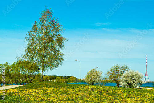 recreation park on the banks of the river in spring, in the photo there is a green meadow, flowering trees and a blue sky