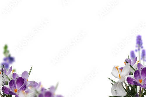 Fototapeta Naklejka Na Ścianę i Meble -  Flowers isolated on transparent background, Flower summer spring flowers overlay, frame background, border overlay, without background png