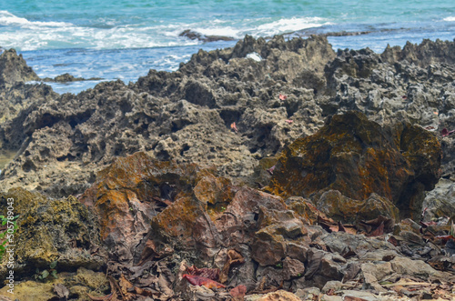 rocks on the coast. hard lumps of land with blue sea water. marine tourism spots on manuk island, Banten, Indonesia. rocky coast of the region sea © aulia sailan ilma