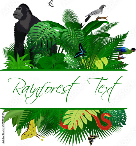 Jungle Rainforest Summer Tropical Leaves Wildlife Vector Design with  gorilla, moon moth, turaco, Hartlaub's turaco and red spitting cobra photo