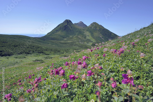 エゾツツジの群落と羅臼岳（北海道・知床）  © 愛 高行