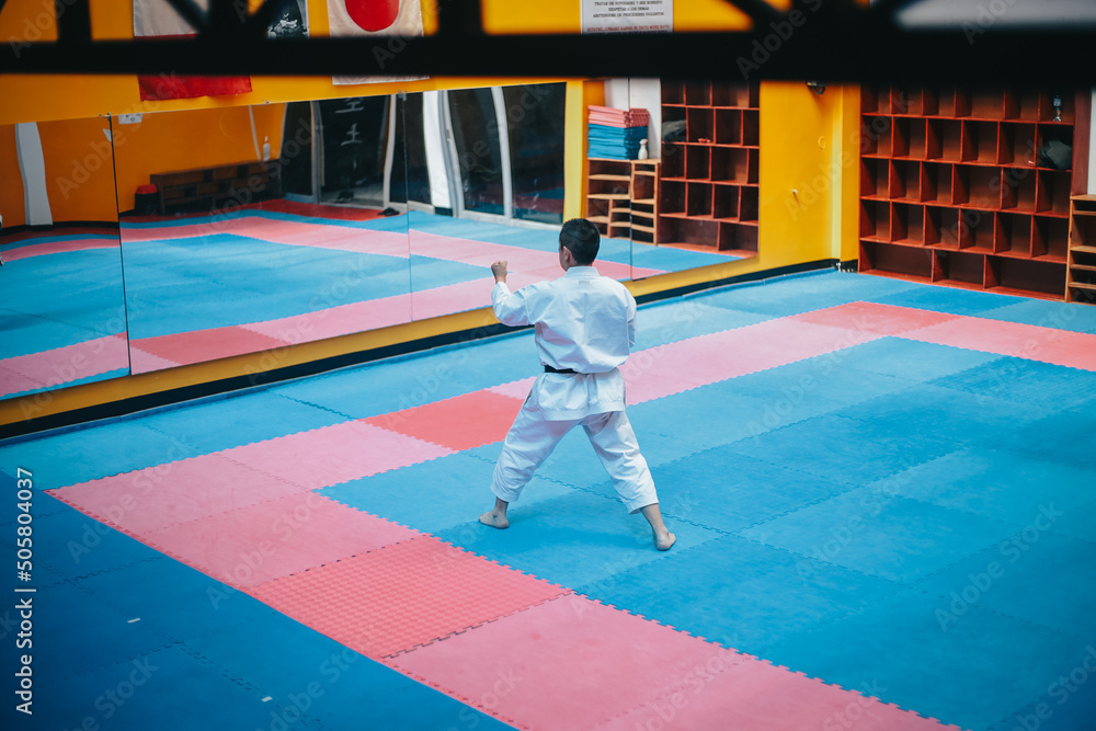 Fototapeta premium Karateka realizando el tradicional kata. Concepto de deportes y artes marciales.
