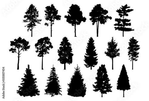 Pine  spruce. Black and white silhouette isolated. Template for plotter lazer cutting and print