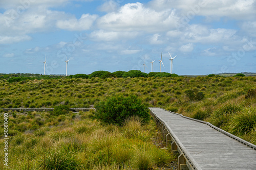 coastal boardwalk with wind turbines