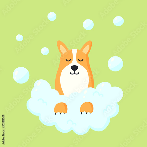 Cute dog in the foam. Corgi with bubbles. animal care. Vector illustration in cartoon style.