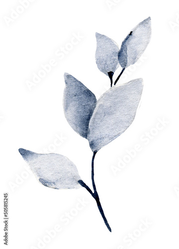 Blue leaves branch watercolor painting. Hand painting floral illustration. Leaf, plant isolated on white background.