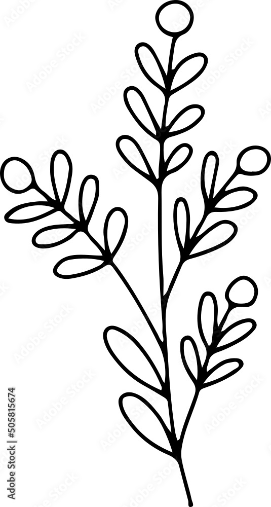 collection forest fern eucalyptus art foliage natural
leaves herbs in line style. Decorative beauty, elegant illustration
for design: Vector flower Botanical collection forest fern eucalyptus art foliage natural
leaves herbs in line style. Decorative beauty, elegant illustration
for design: Vector flower Botanical