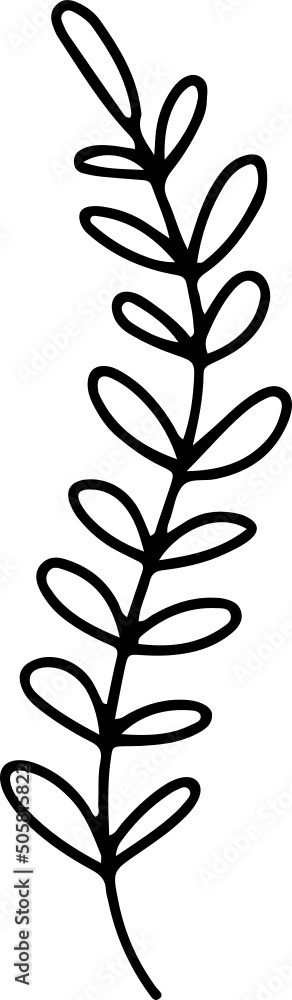 collection forest fern eucalyptus art foliage natural
leaves herbs in line style. Decorative beauty, elegant illustration
for design: Vector flower Botanical collection forest fern eucalyptus art foliage natural
leaves herbs in line style. Decorative beauty, elegant illustration
for design: Vector flower Botanical