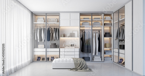 Fotografiet White luxury walk in closet interior with light frome the window