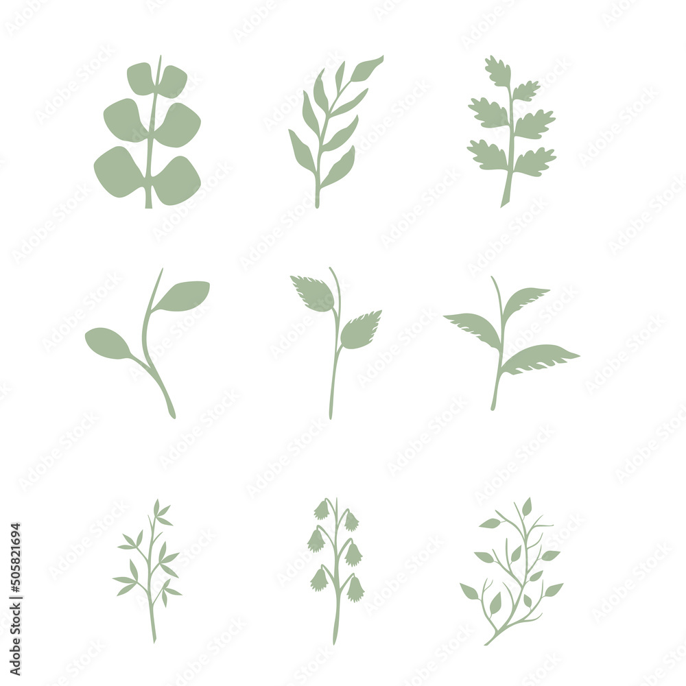 Leaves vector set isolated from the background Leaves different shapes in modern flat style Leaves vector set isolated from the background Leaves different shapes in modern flat style