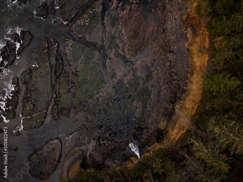 Drone shot. Rocky shore of the ocean and forest on the shore. Dark tones. Abstraction. There are no people in the photo. Geology  geography  topographic map  climate change  ecology.