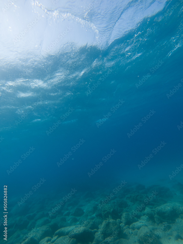 underwater sea bottom landscape