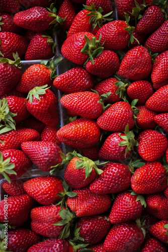 Delicious big ripe red strawberries in plastic boxes flat lay