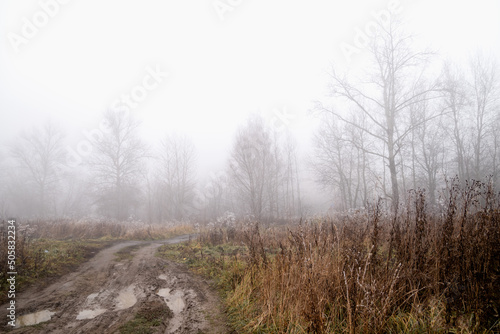 Dirt muddy road with puddles after rain in the field in foggy autumn morning landscape. © Gioia