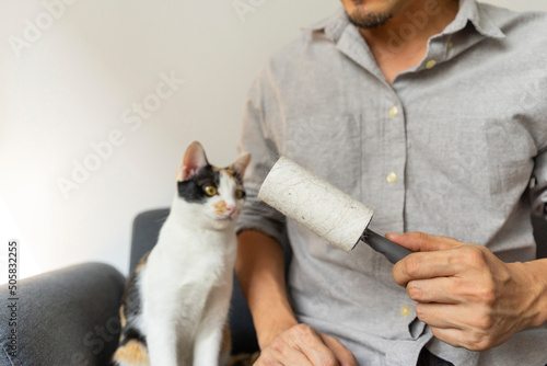Close up of man holding lint roller sitting on a sofa with a cute cat sit beside. photo