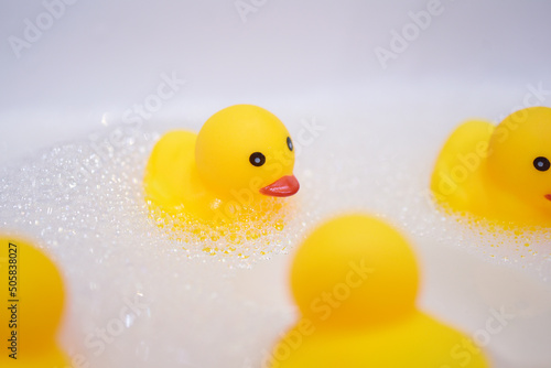 Fotobehang canard de bain dans un lavabo de salle de bain