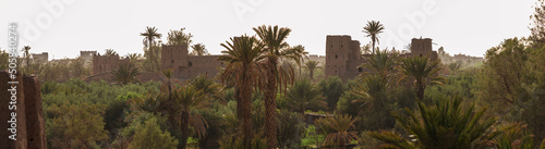 Kasba Amridil  view of the palm grove  Skoura  Ouarzazate Province  morocco  africa