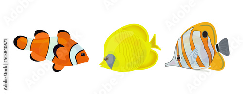 Sea fishes vector flat cartoon illustration. Tropical ocean reef or home aquarium exotic fishes set, isolated on white background.