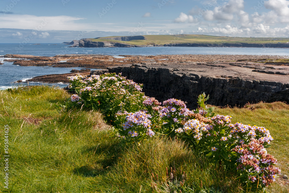 View of the Kilkee cliffs in the Clare county, Ireland