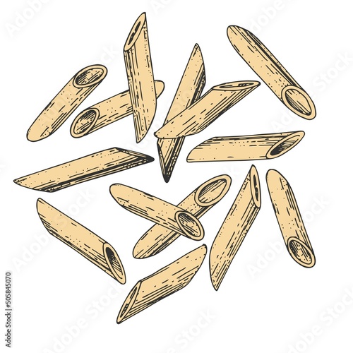 Collection of vector pasta Penne Rigate. Hand-drawn color sketches. Vintage style engraving