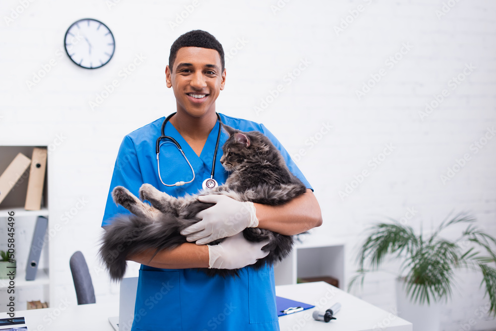 Φωτογραφία Positive african american veterinarian holding maine coon cat in clinic