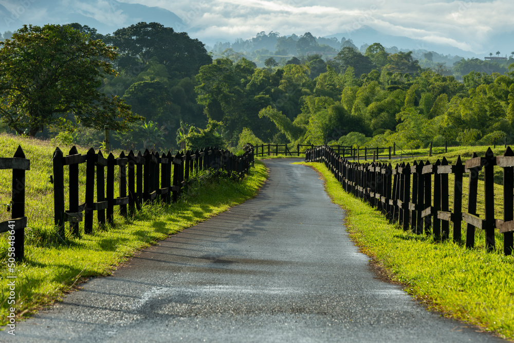 Rural driveway through paddocks on farm, Pereira, Colombia